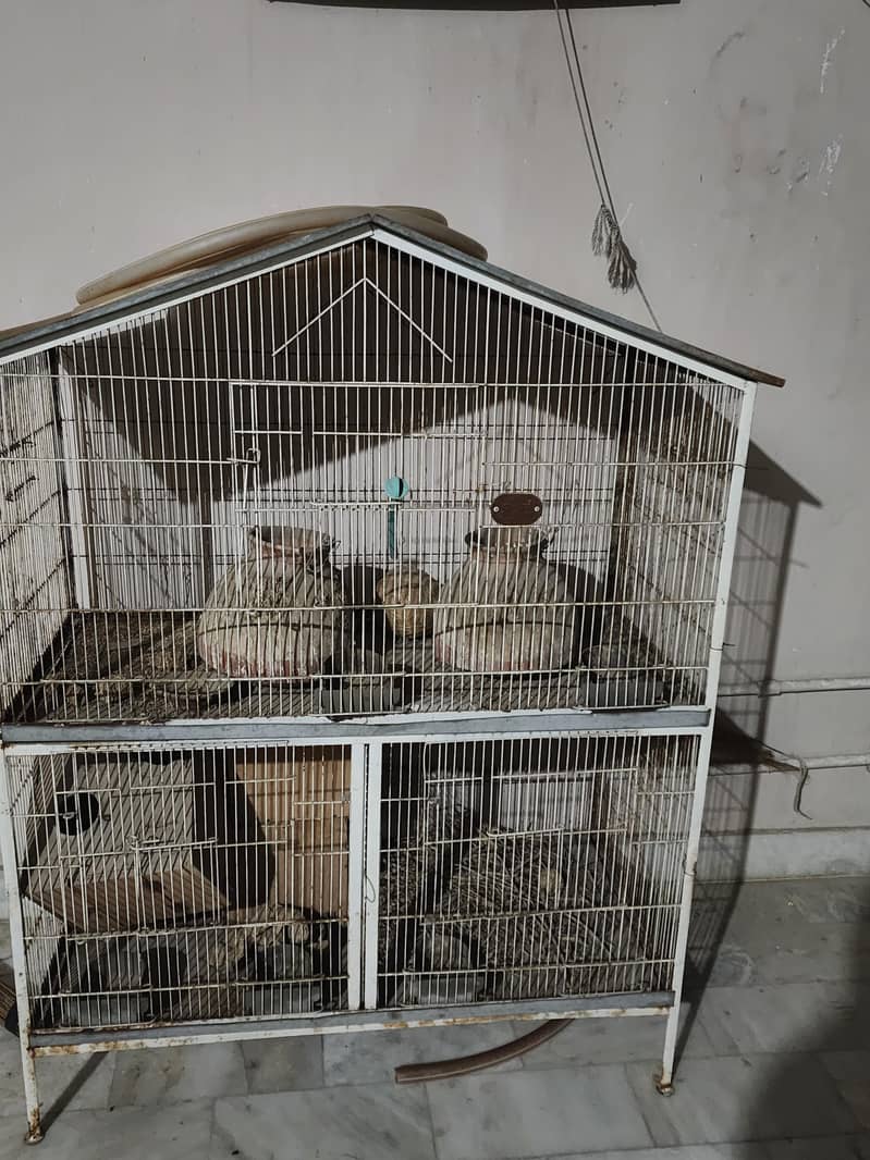3 portion cage 0