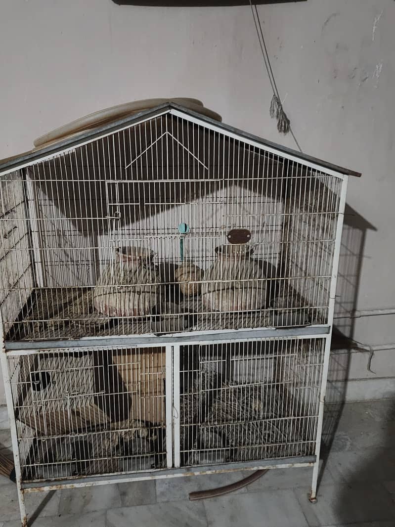 3 portion cage 1