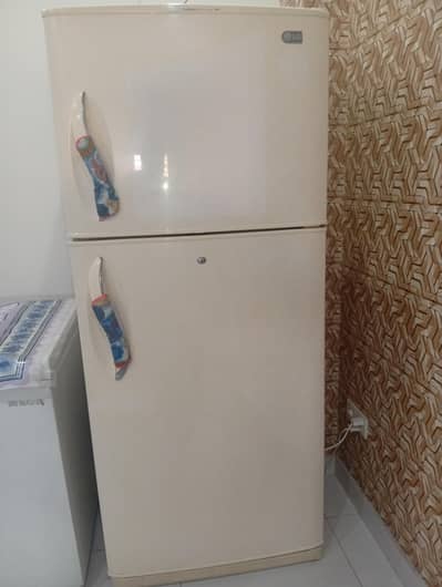 LG No Frost Full Size Refrigerator
