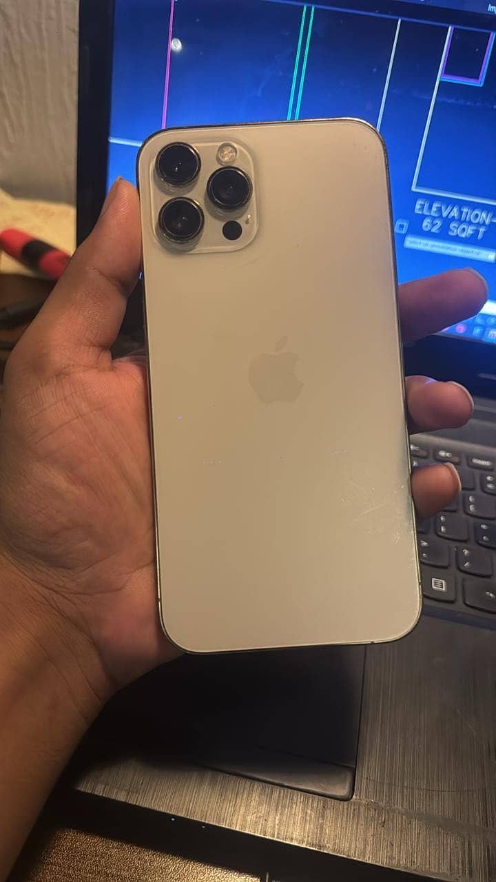 Apple iPhone 12 Pro Max 1