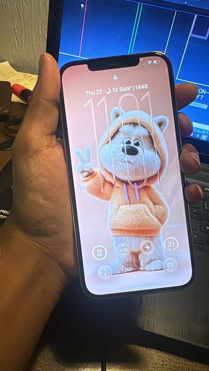 Apple iPhone 12 Pro Max 2
