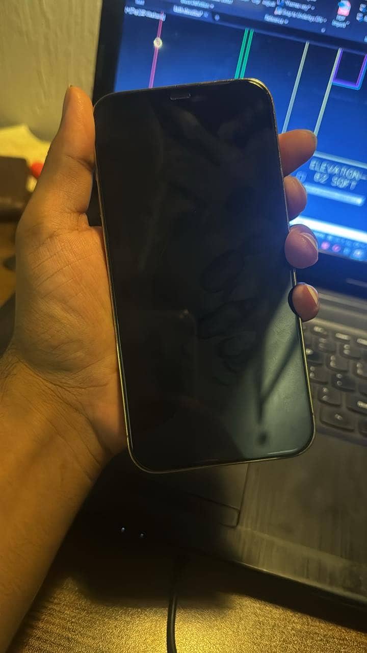 Apple iPhone 12 Pro Max 4