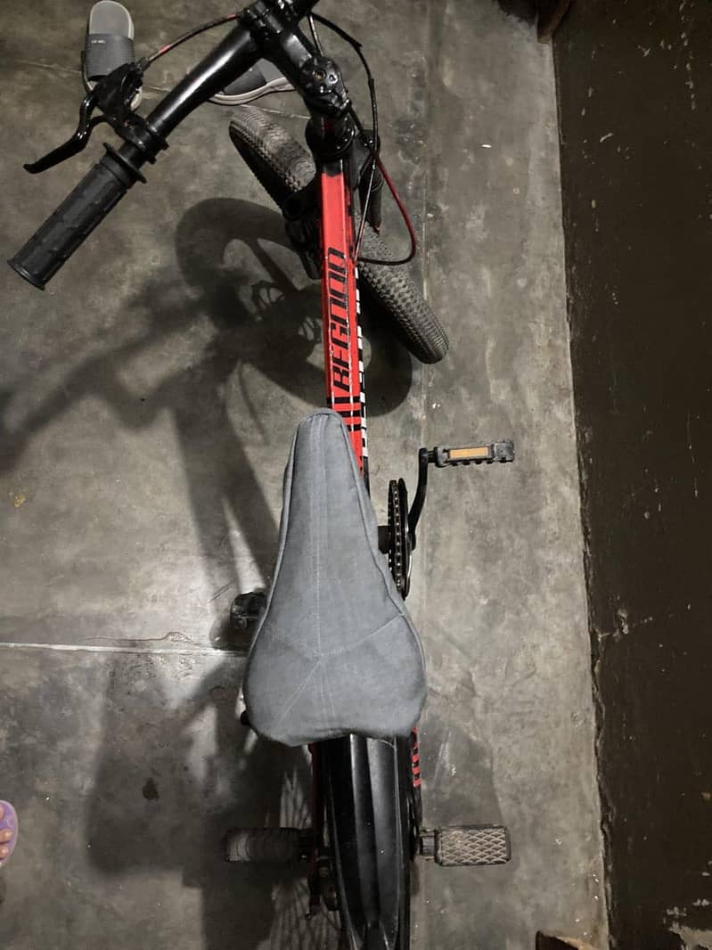 BE Good bicycle 2