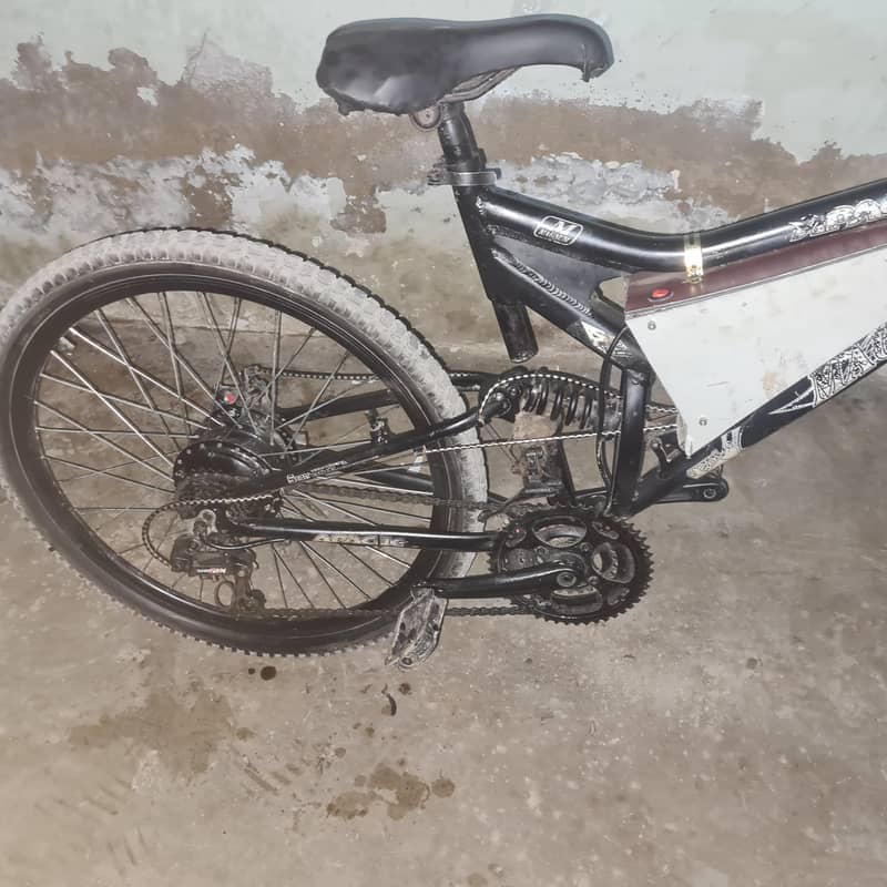 electric cycle 1
