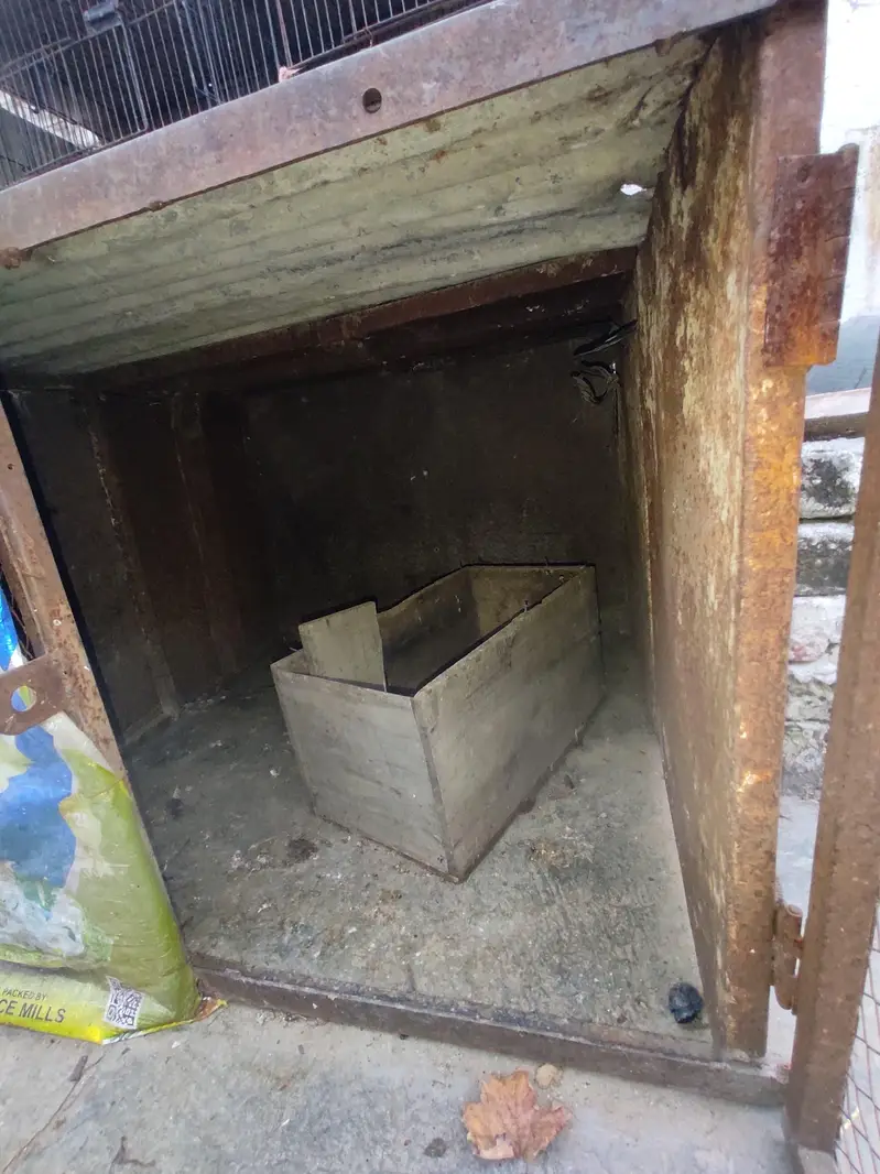 FULL size cage — photo 9