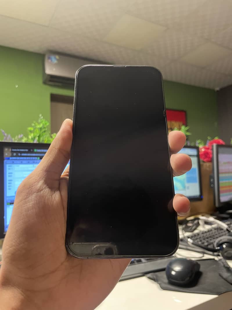 Apple iPhone 13 Pro Max 1