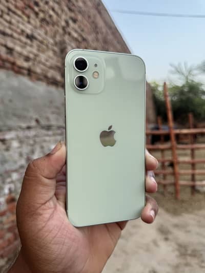 Apple iPhone 12 PTA Approved