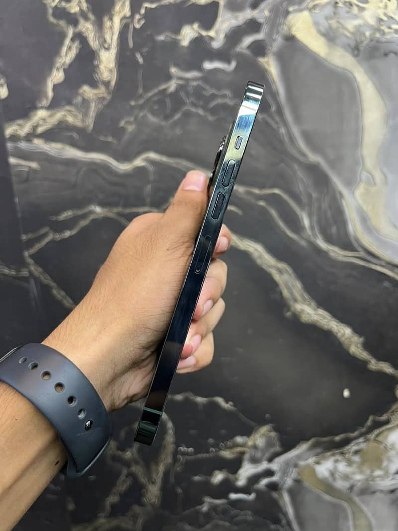 Apple iPhone 13 Pro Max 1