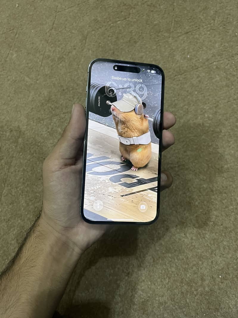 Apple iPhone 14 Pro Max 1