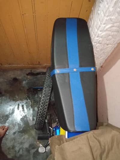 brand new down model fancy seat only one week use