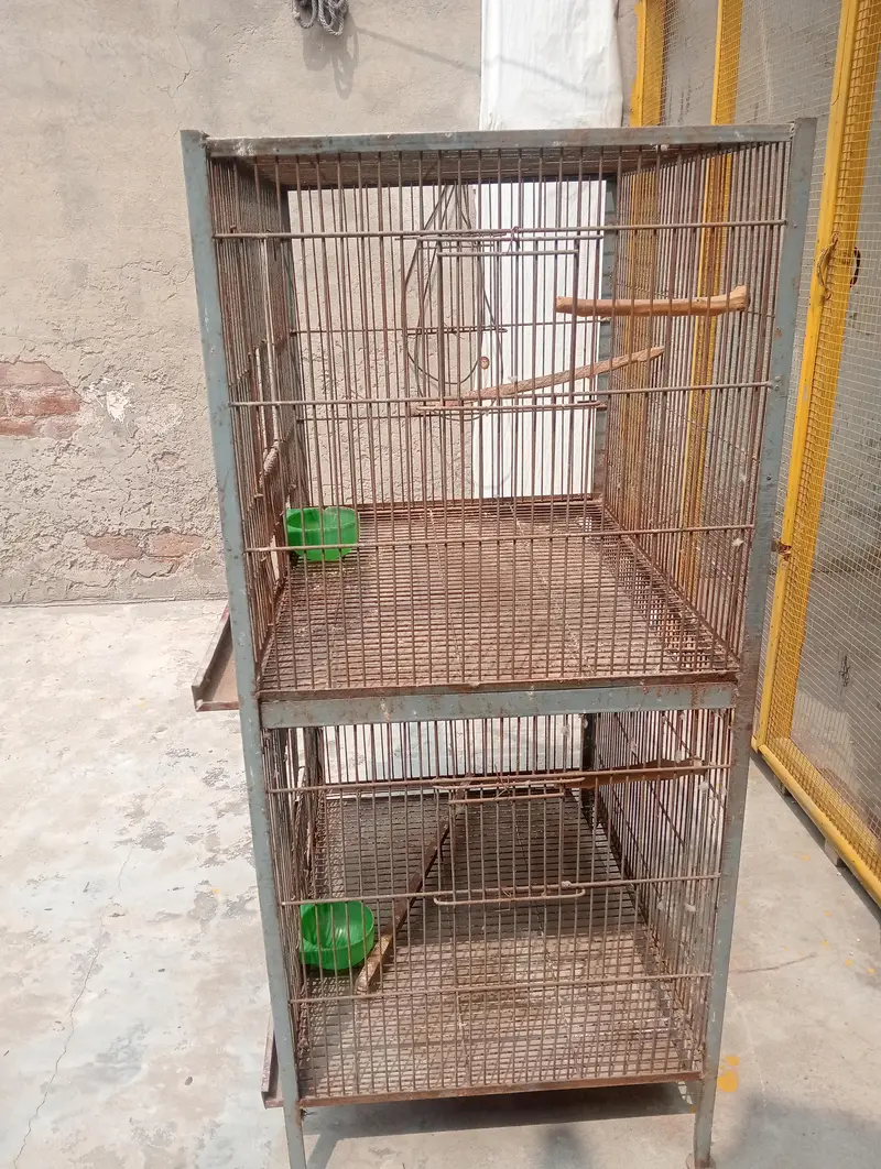 Iran Bird Cage — photo 2