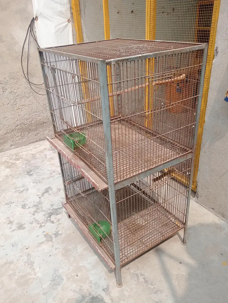 Iran Bird Cage — photo 3