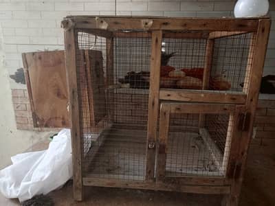 wodden cage for sale