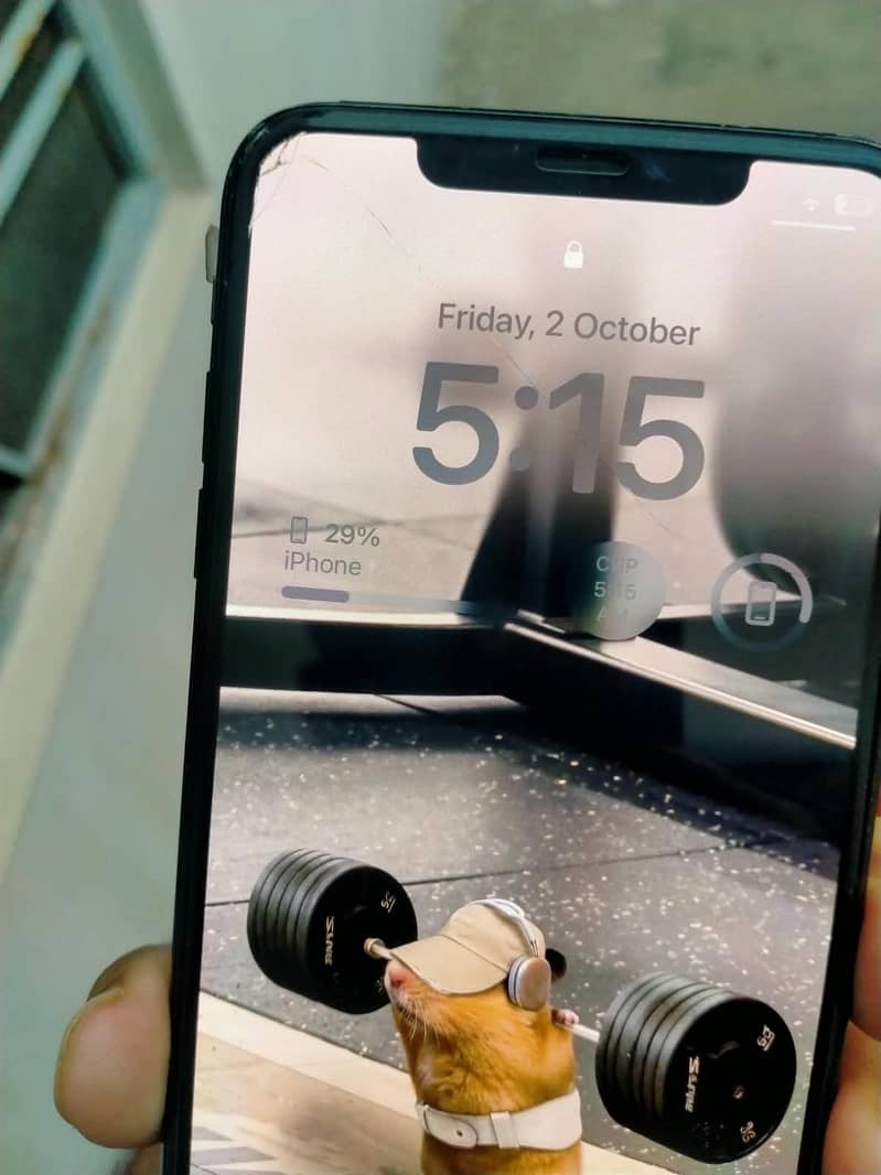 Apple iPhone XS Max 1
