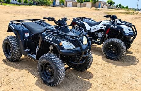 Adly quad
