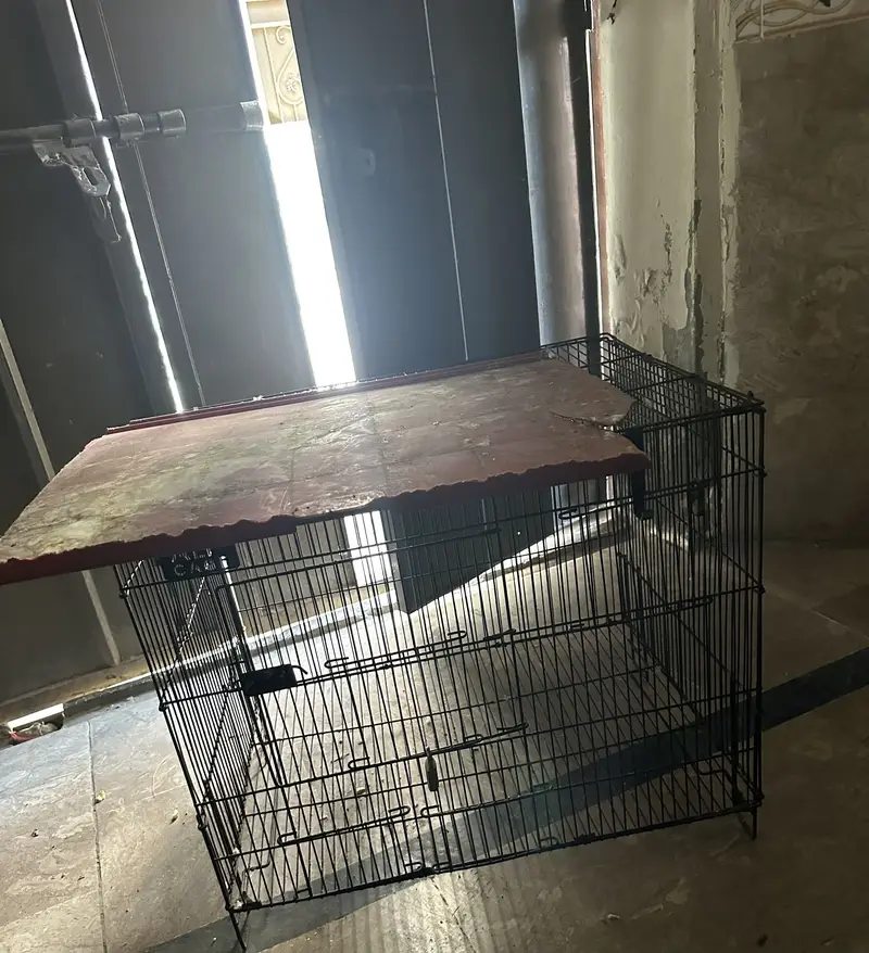 Parrot cage for sale — photo 2