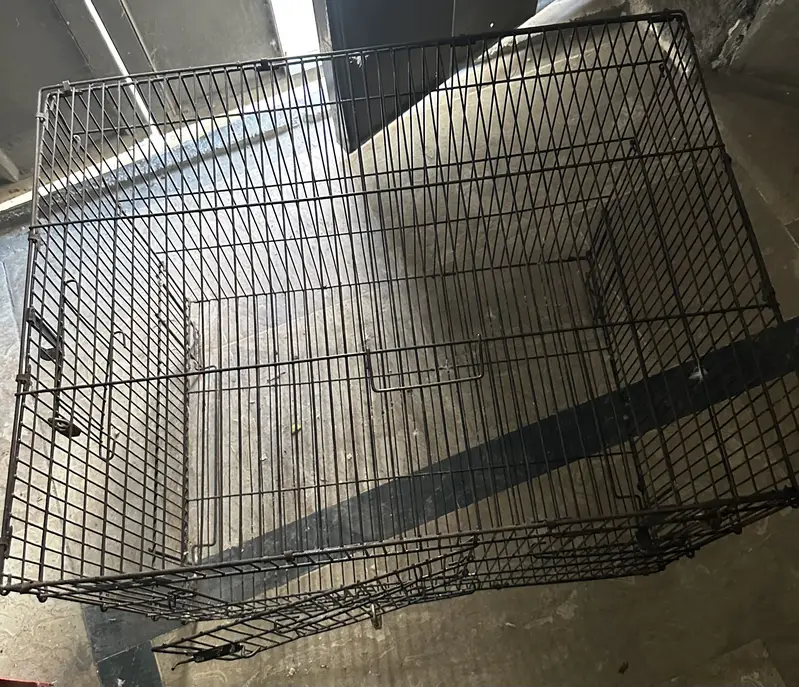 Parrot cage for sale — photo 3