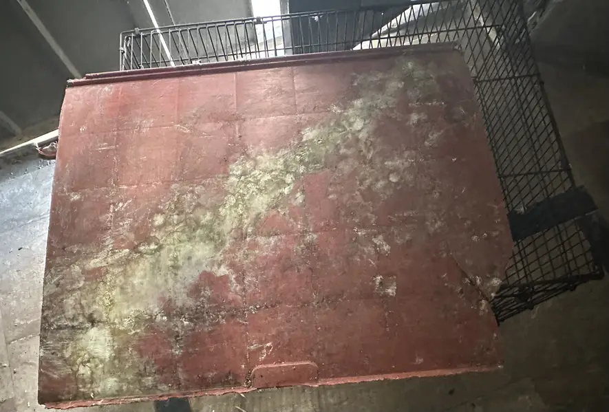 Parrot cage for sale — photo 4
