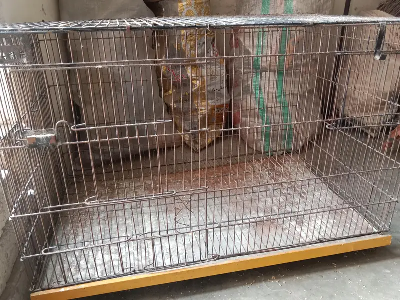 2.5*1.5*1.5 cage for sale . ( Whatsapp number 03330031118 ) — photo 4