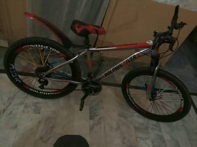 dolphin river sports cycle