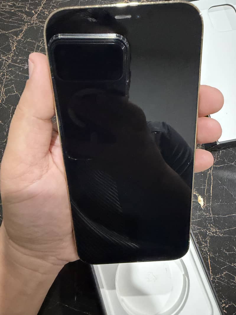 Apple iPhone 12 Pro Max 0