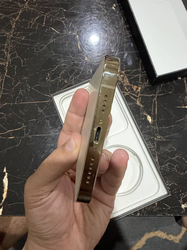 Apple iPhone 12 Pro Max 1