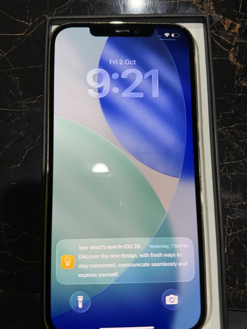 Apple iPhone 12 Pro Max 5