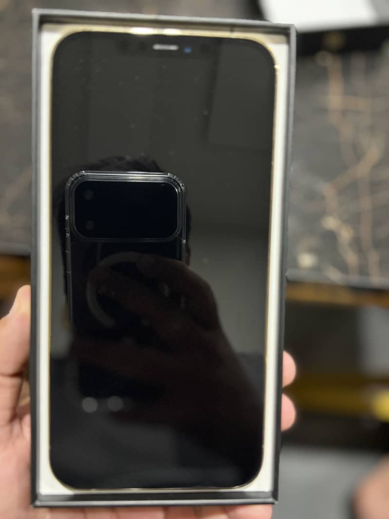 Apple iPhone 12 Pro Max 8