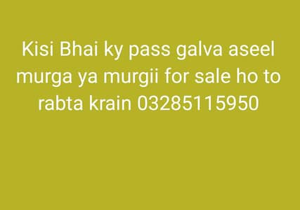 kisi Bhai ky pass hoto WhatsApp 03285115950