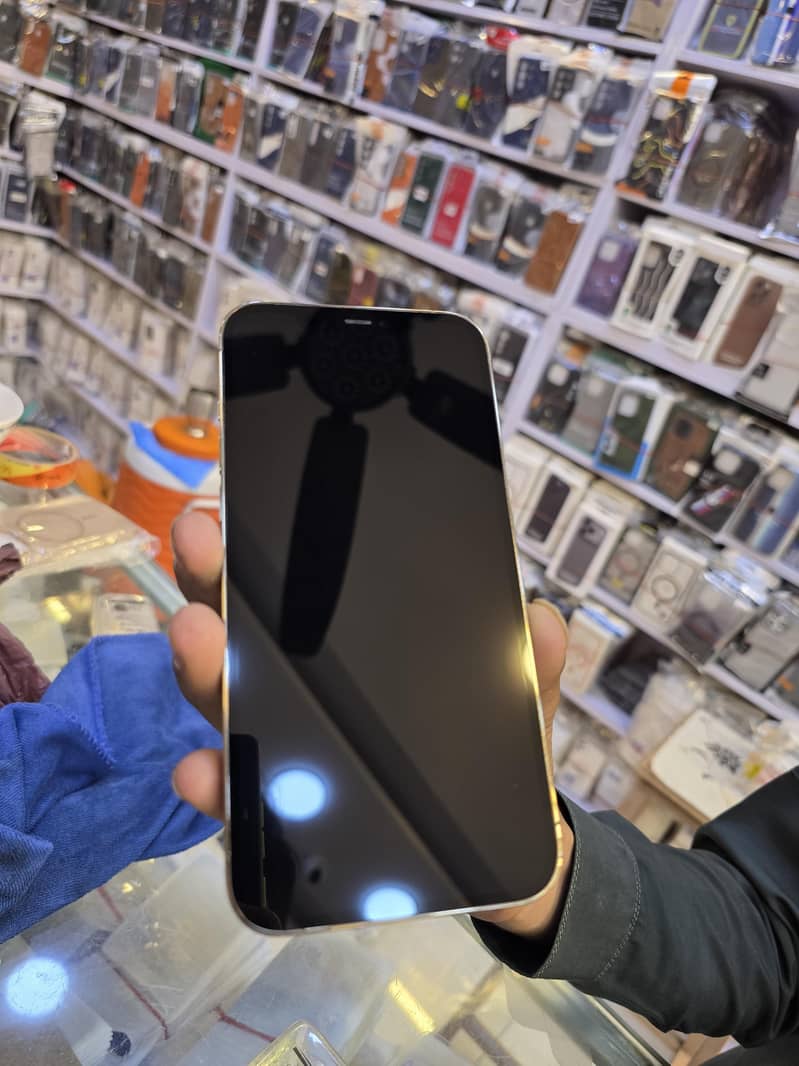 Apple iPhone 12 Pro Max 1