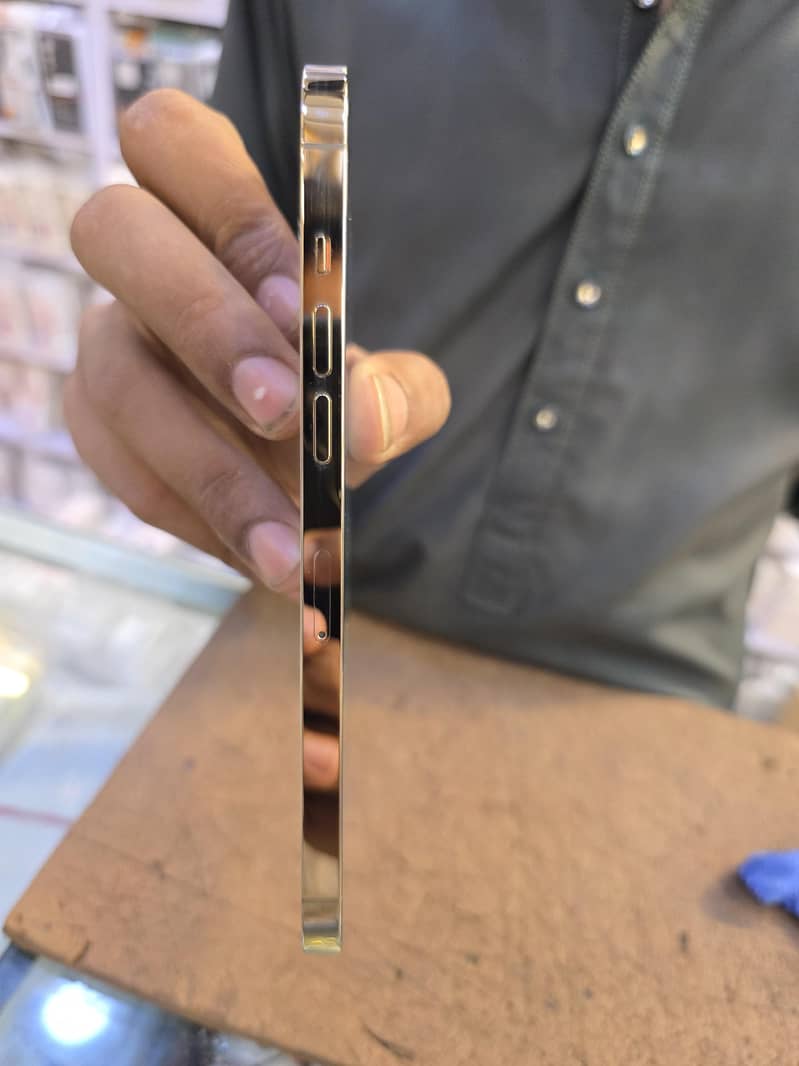 Apple iPhone 12 Pro Max 2