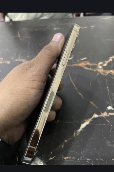 Apple iPhone 12 Pro Max with box