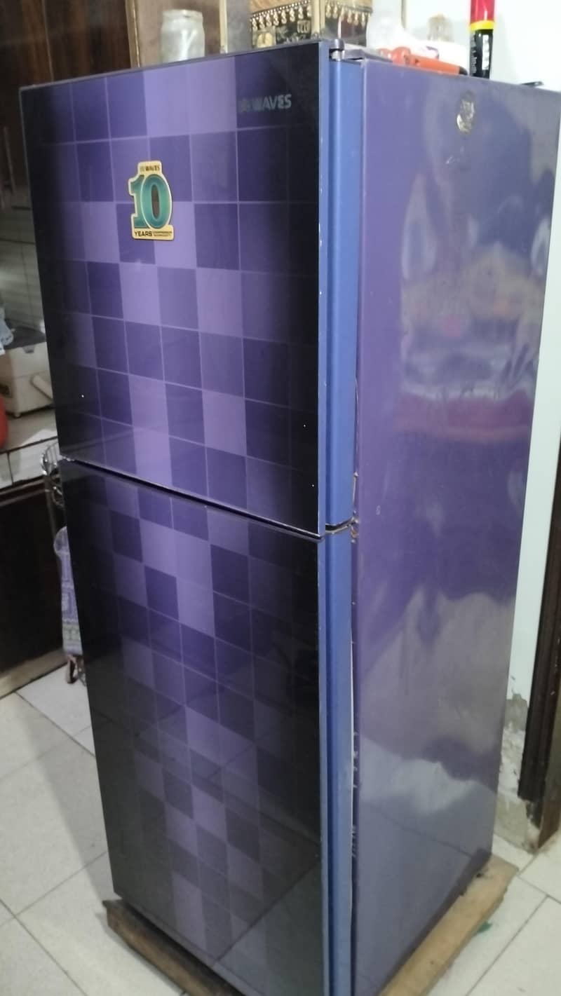 Waves Fridge 7