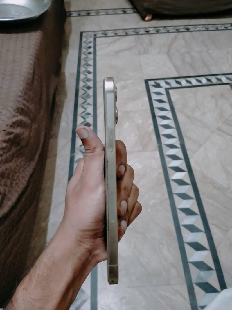 Apple iPhone 12 Pro Max 9