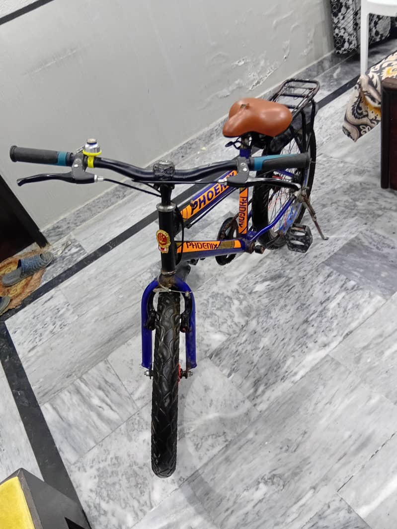 bicycle 1
