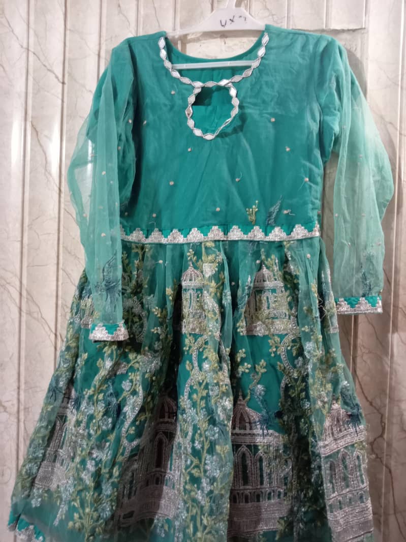 Fancy frock 1