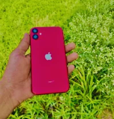 Apple iPhone 11