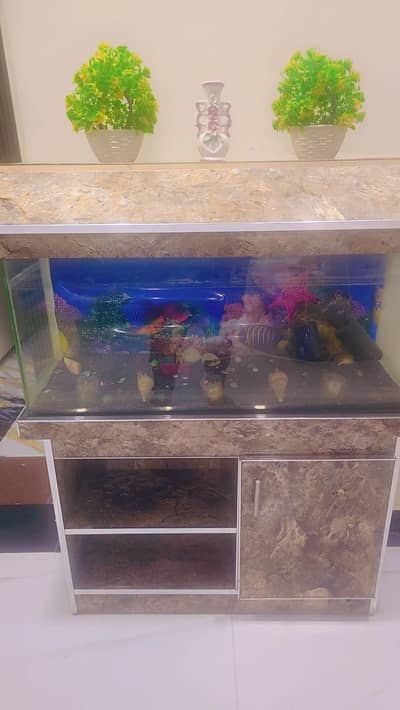 Fish Aquarium with stand
