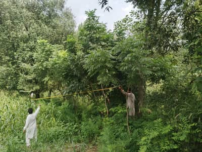 Need Educated Person for Site Work in Haripur - 40000