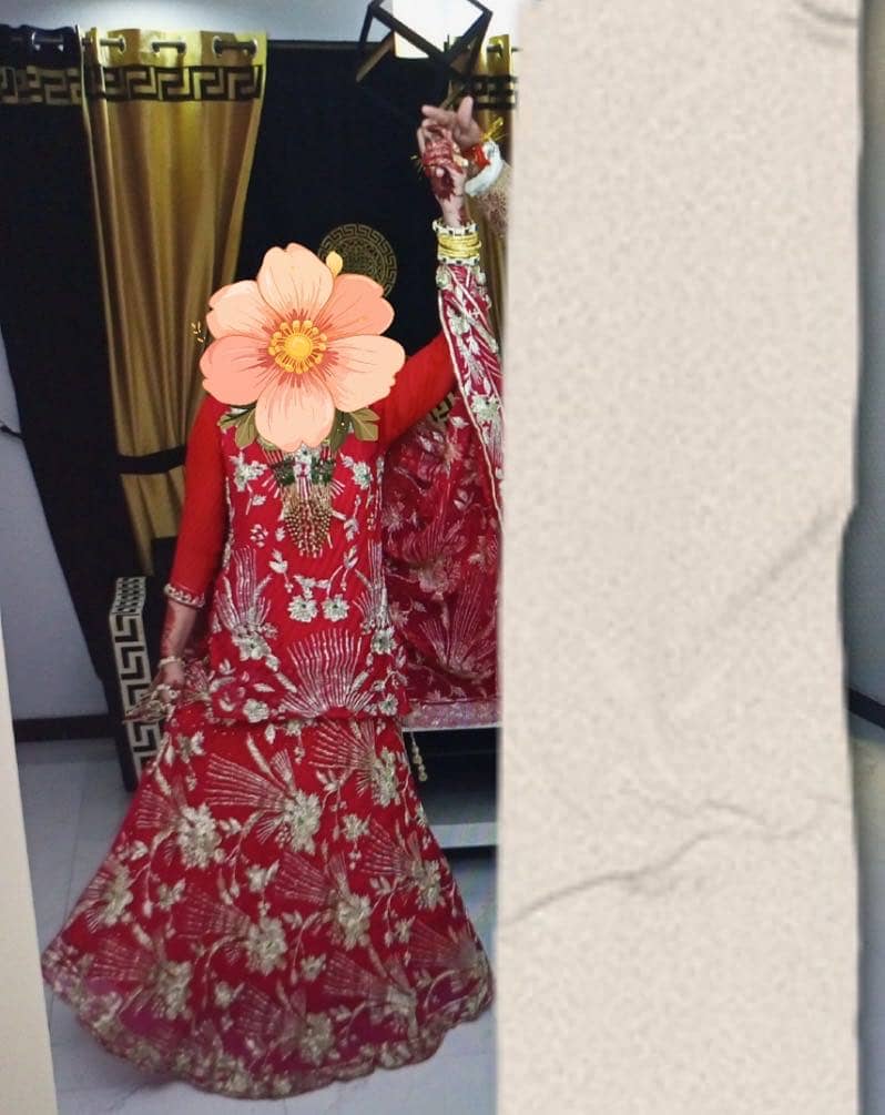 Walima Maxi 1
