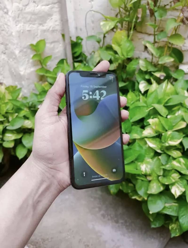 Apple iPhone X 5