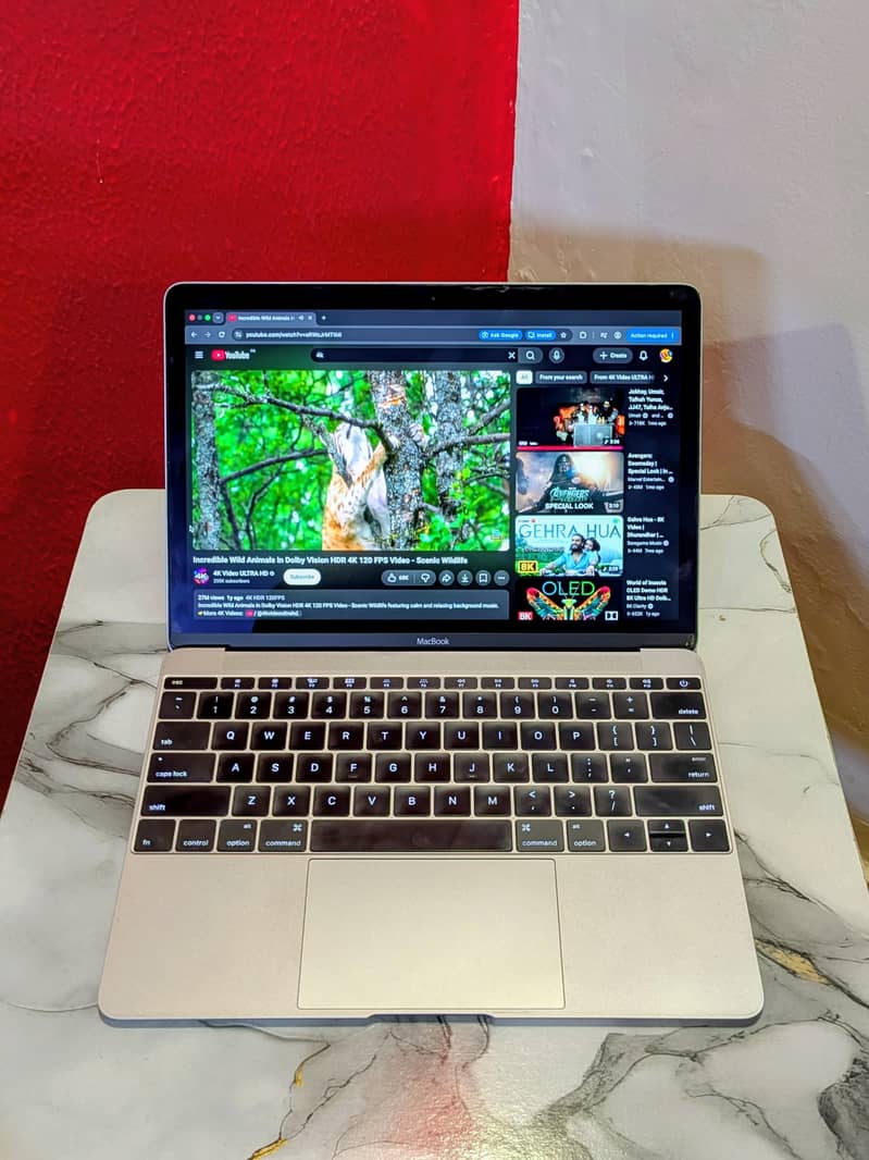 2 MacBooks 4