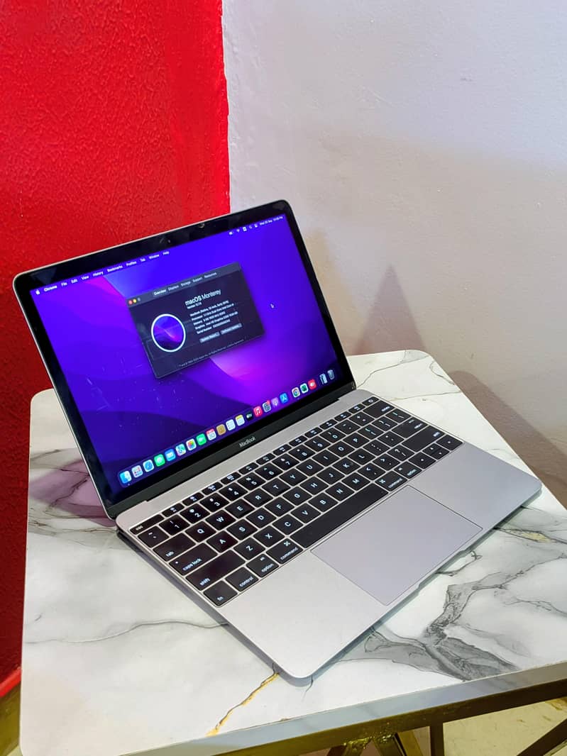 2 MacBooks 0