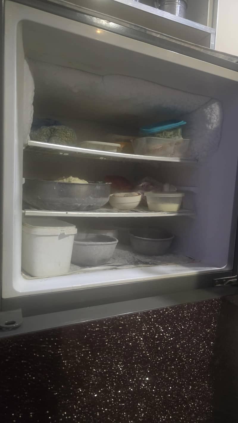 Haier Medium Refrigerator 4