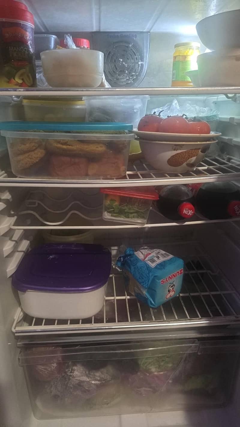 Haier Medium Refrigerator 5