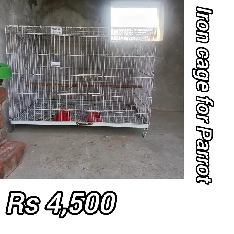 Iron and Woden double story Cage for sale in less price — photo 2
