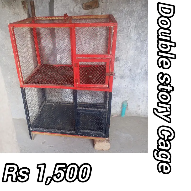 Iron and Woden double story Cage for sale in less price — photo 3