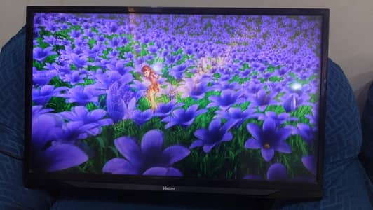 Haier LED TV