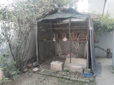master cage urgent sell