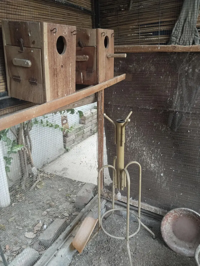 master cage urgent sell — photo 3